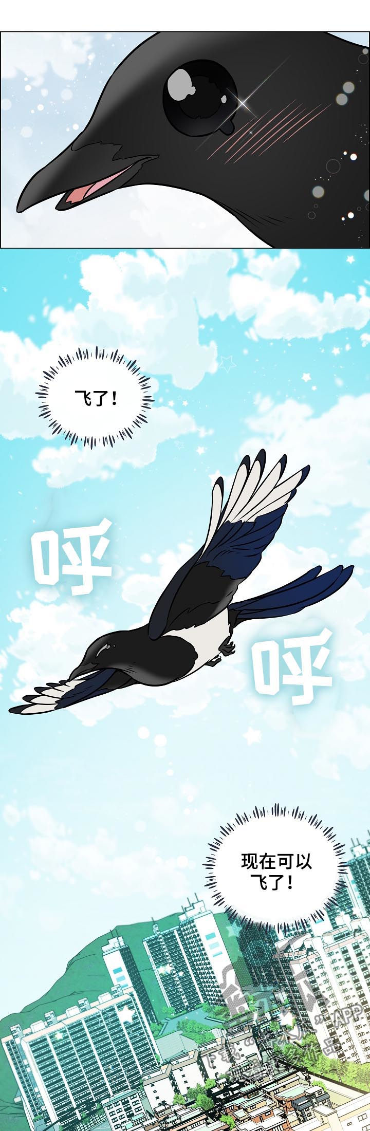 单身税漫画,第70章：离开5图