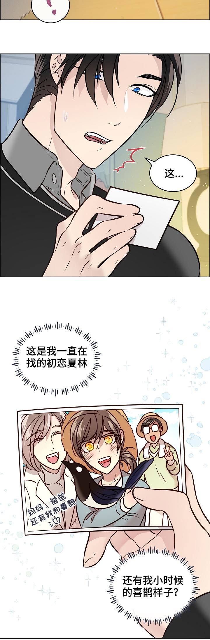 单身税漫画,第66章：照片2图