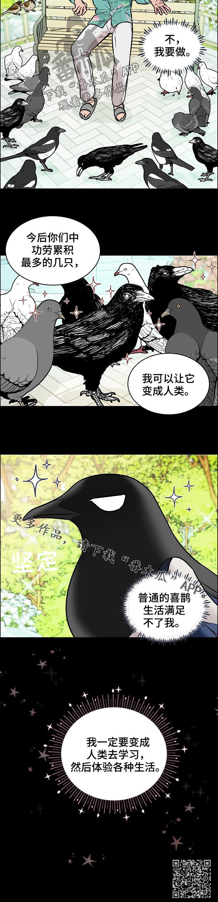 单身税漫画,第67章：交通事故4图