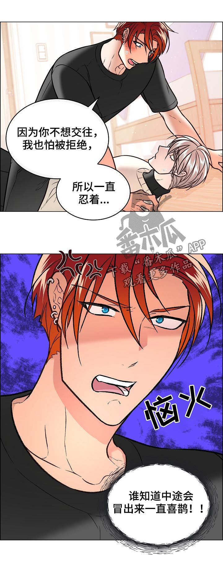 单身税漫画,第65章：表露心意1图