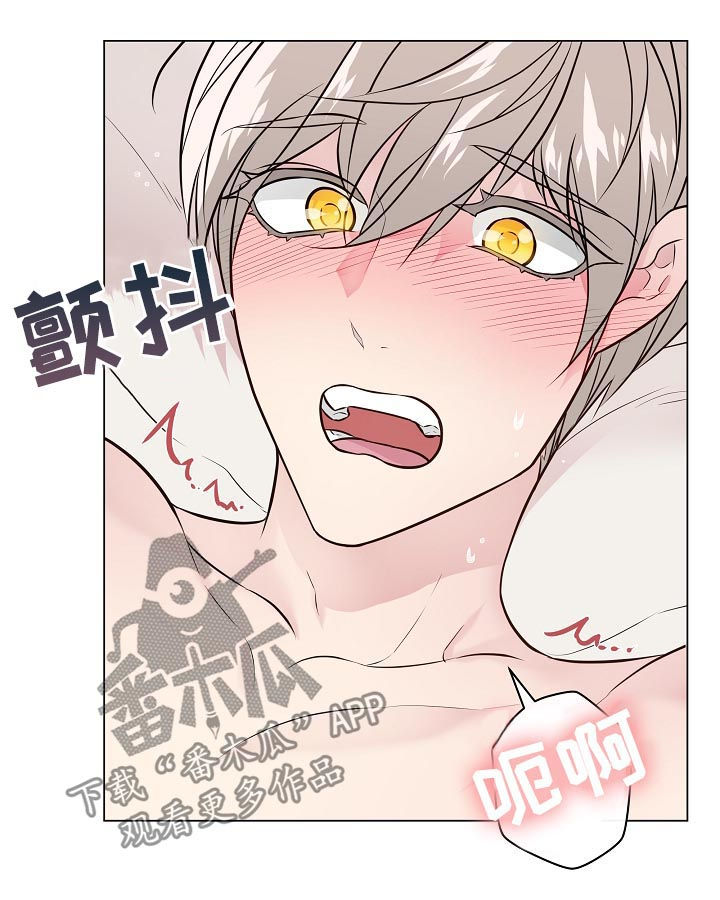 单身税漫画,第95章：夫妻1图