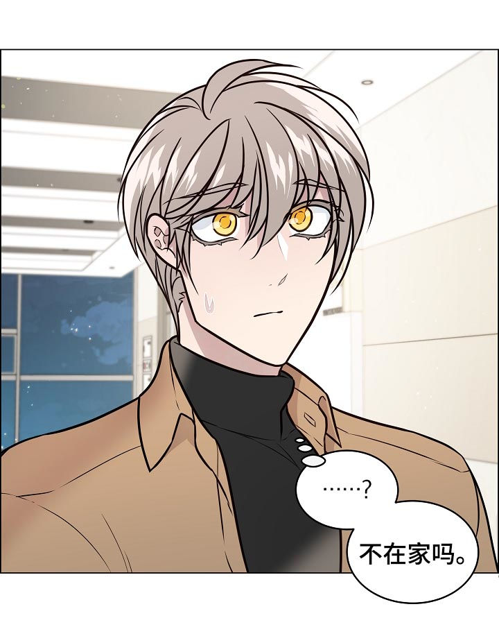 单身税漫画,第74章：我一直在找你1图