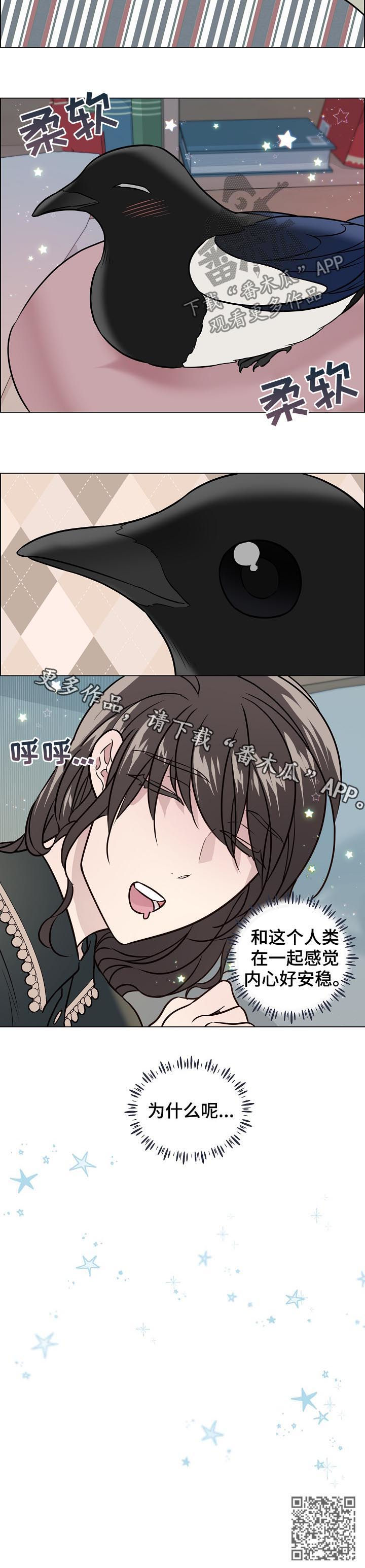 单身税漫画,第69章：安稳4图