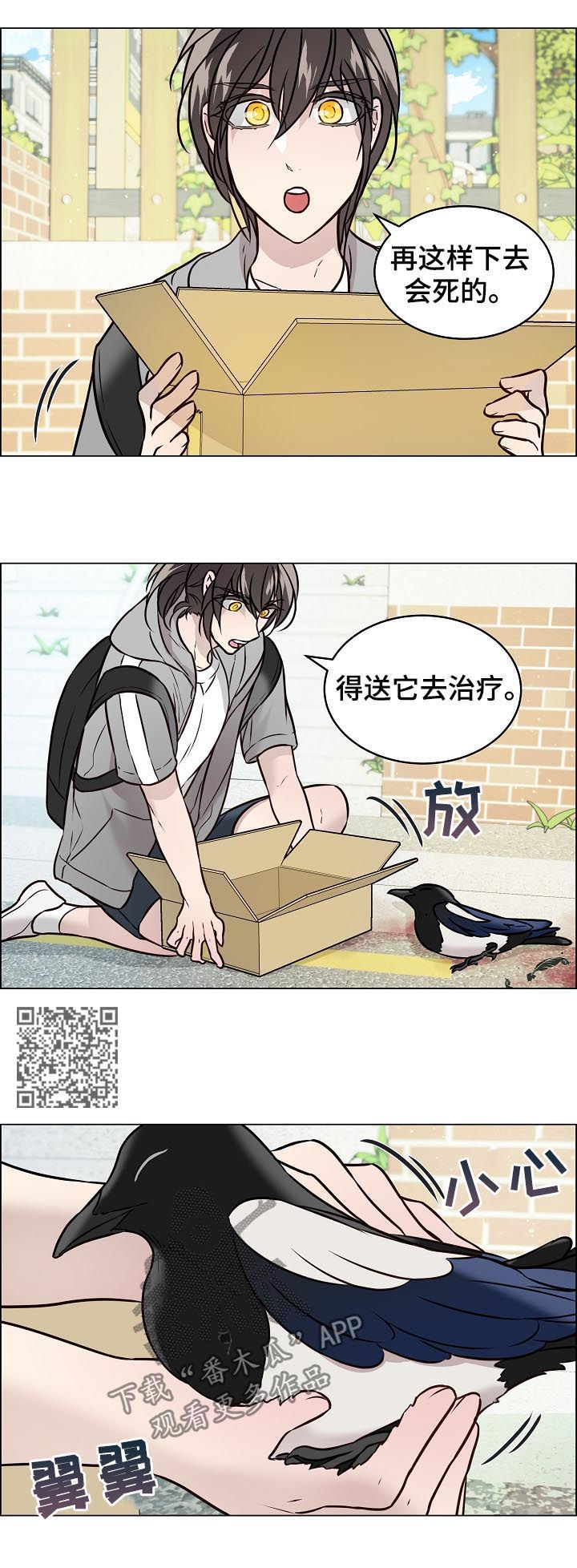单身税漫画,第67章：交通事故2图