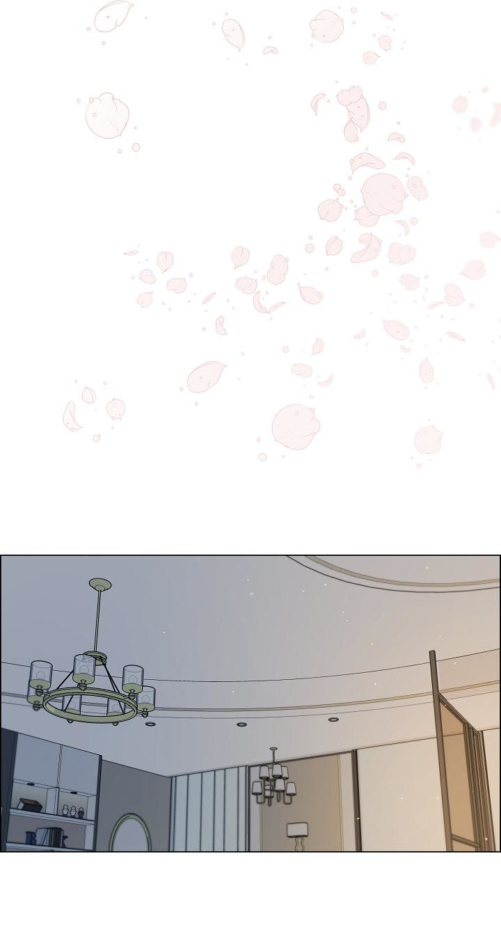 单身税漫画,第66章：照片1图