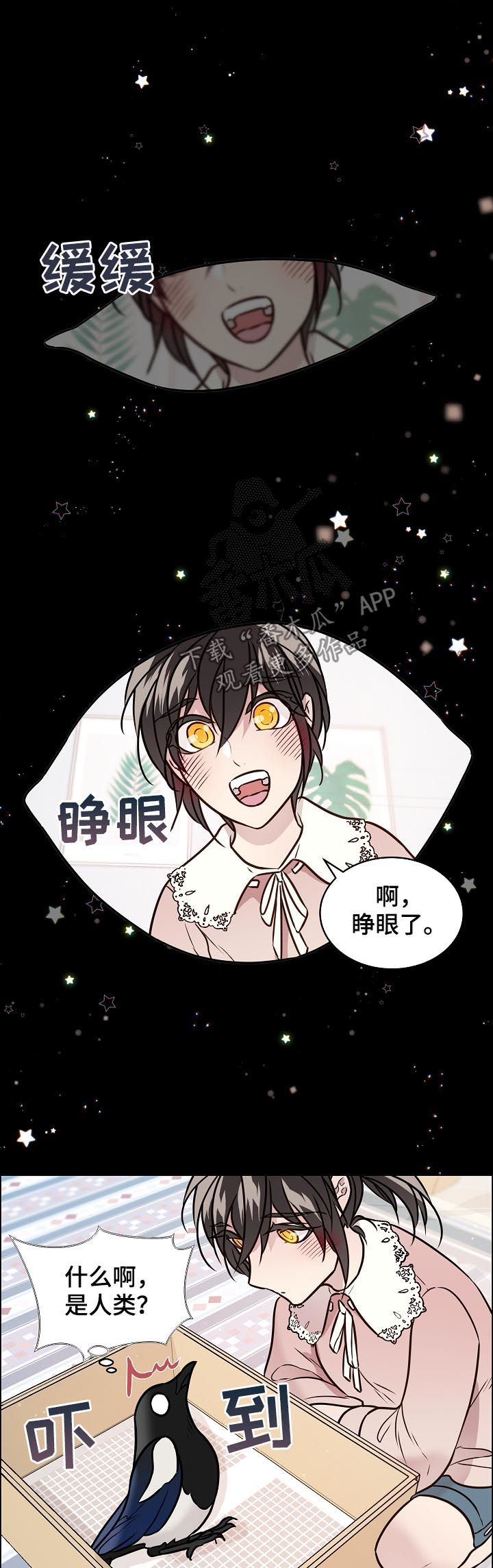 单身税漫画,第68章：照顾5图