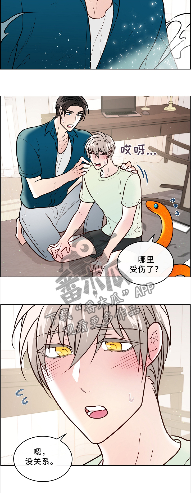 单身税漫画,第46章：两只宠物3图