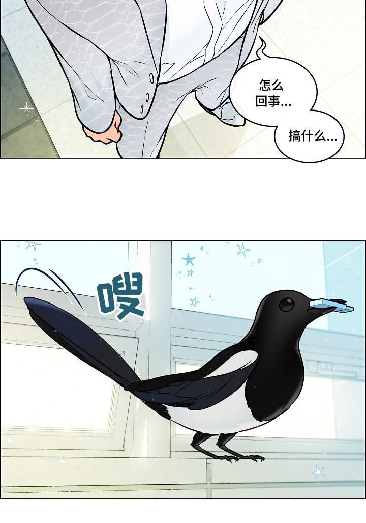 单身税漫画,第28章：赶到1图