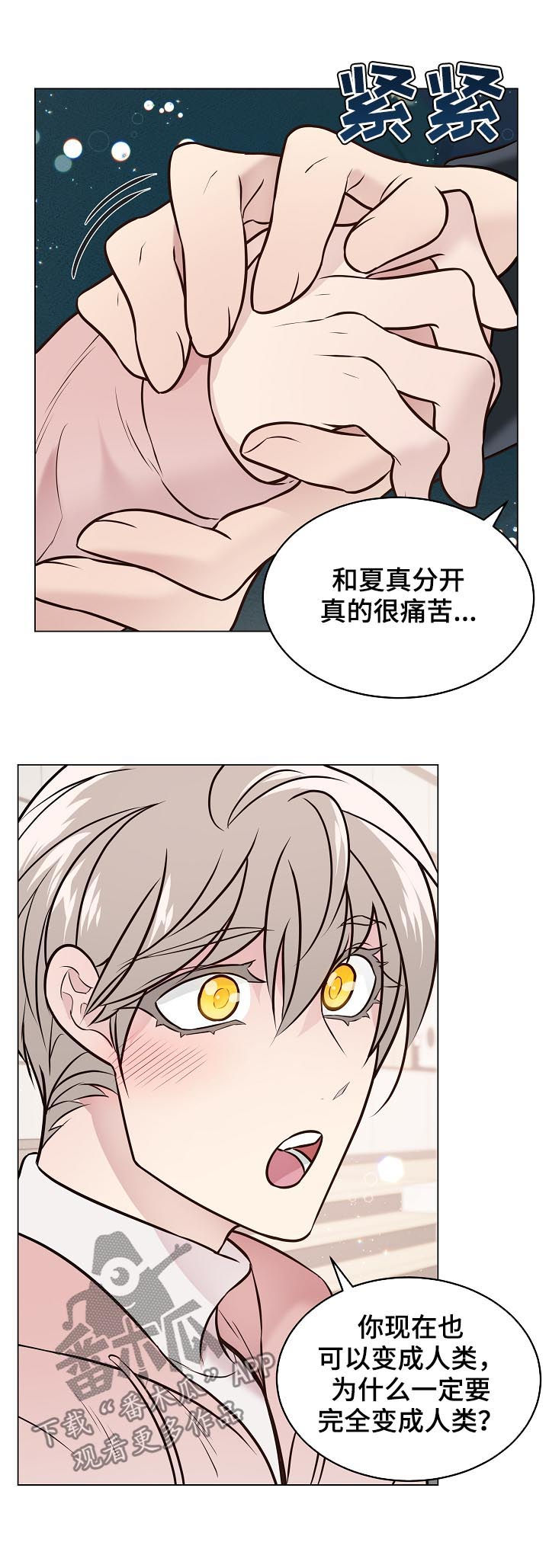 单身税漫画,第93章：戒指破碎1图