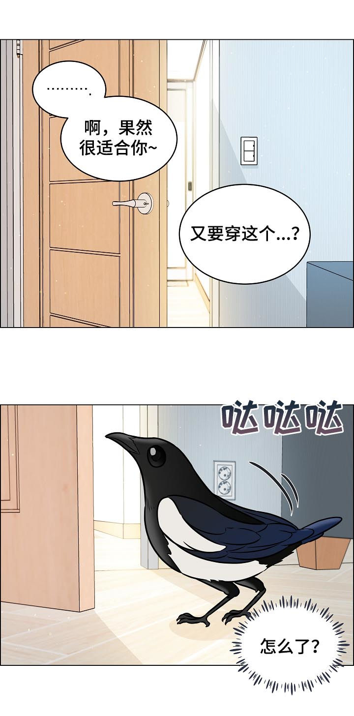 单身税漫画,第69章：安稳1图