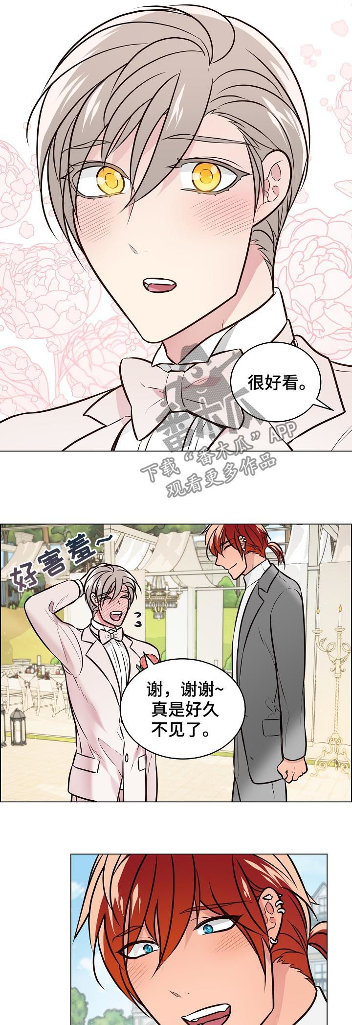 单身税漫画,第94章：结婚4图