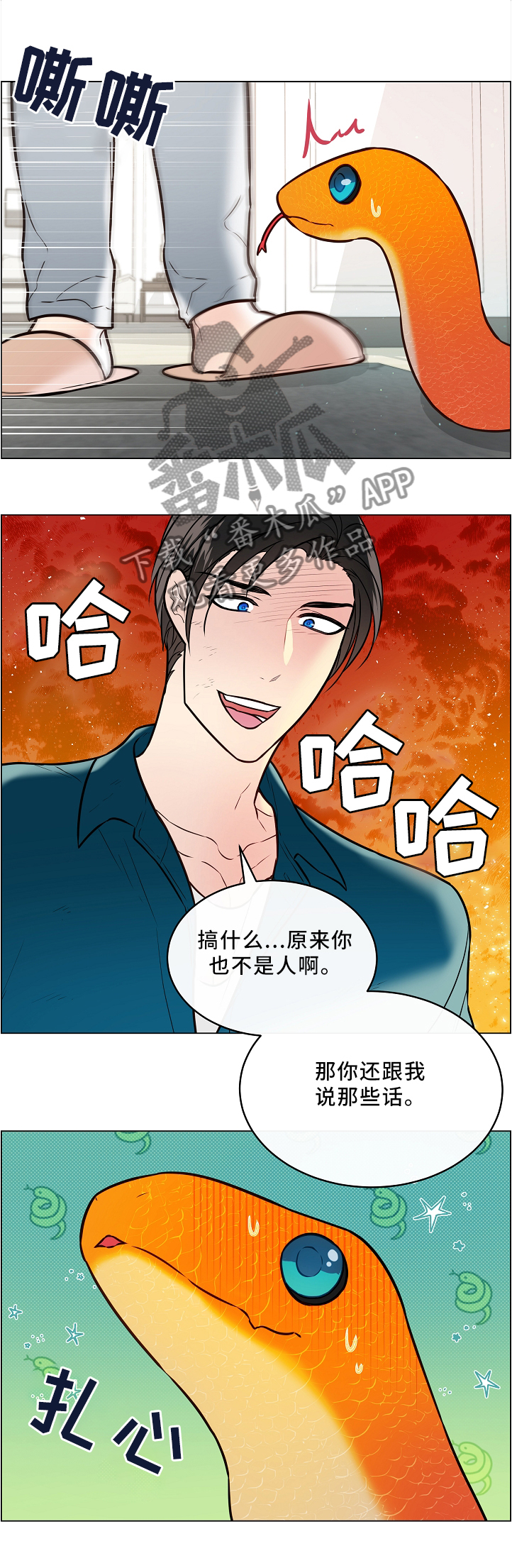 单身税漫画,第46章：两只宠物1图