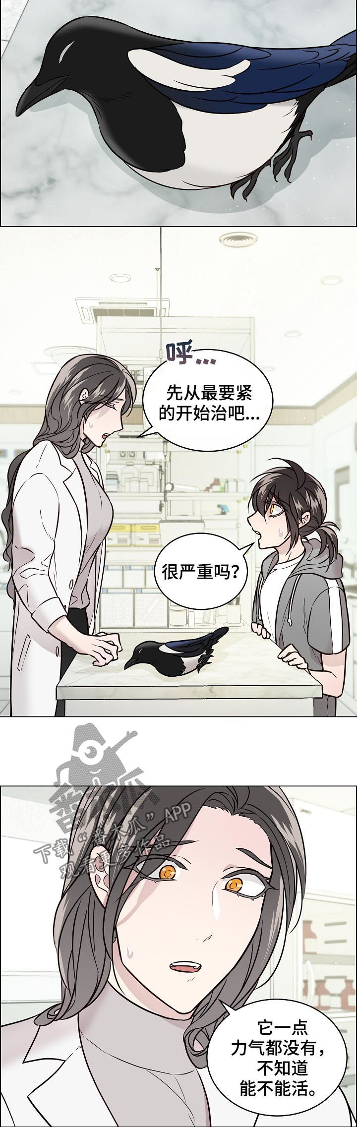 单身税漫画,第67章：交通事故5图