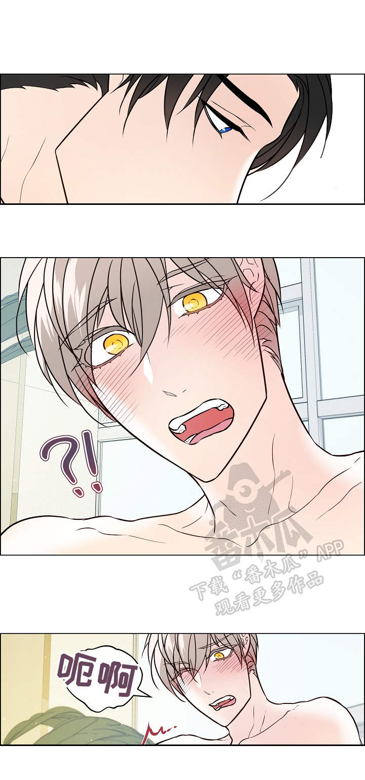 单身税漫画,第38章：补偿3图