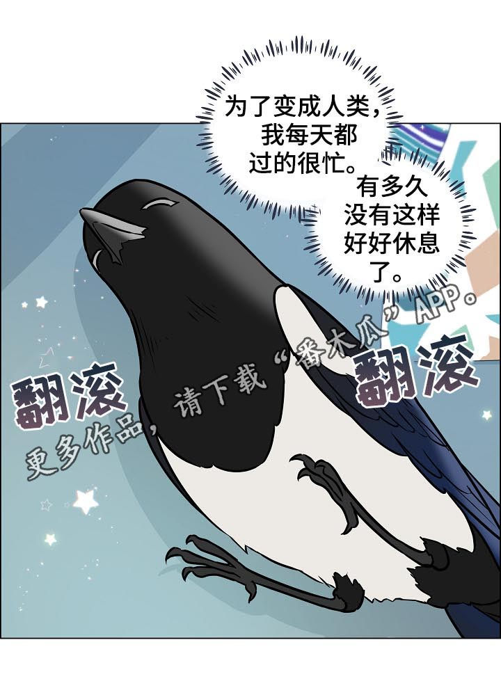 单身税漫画,第70章：离开1图