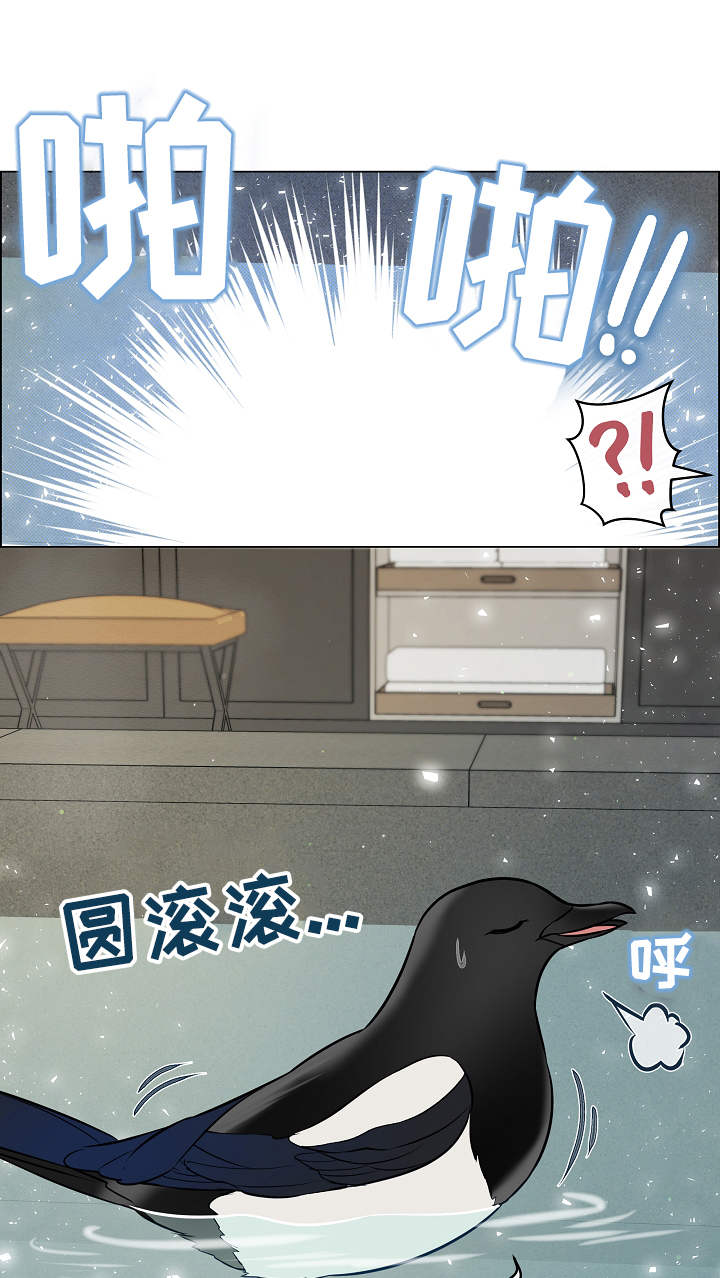 单身税漫画,第38章：补偿2图