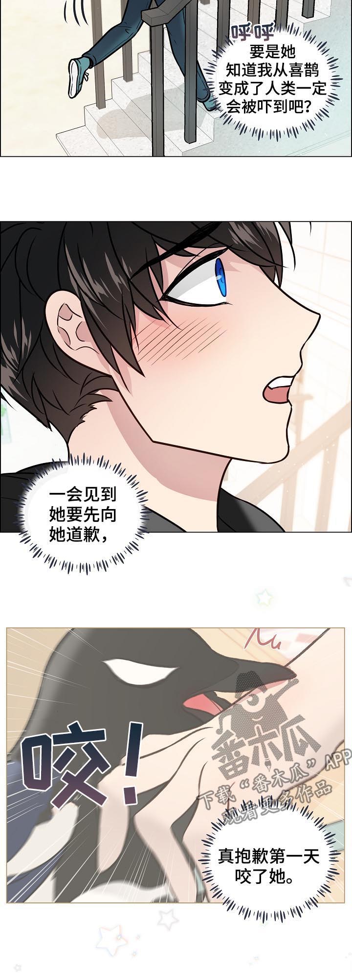 单身税漫画,第72章：搬家4图