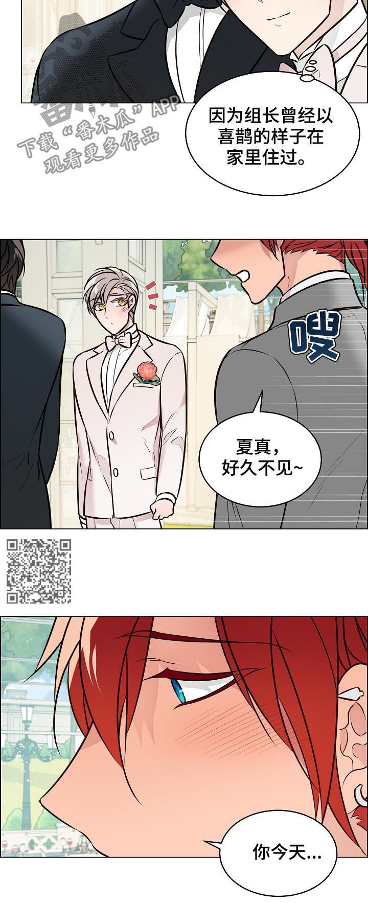 单身税漫画,第94章：结婚3图