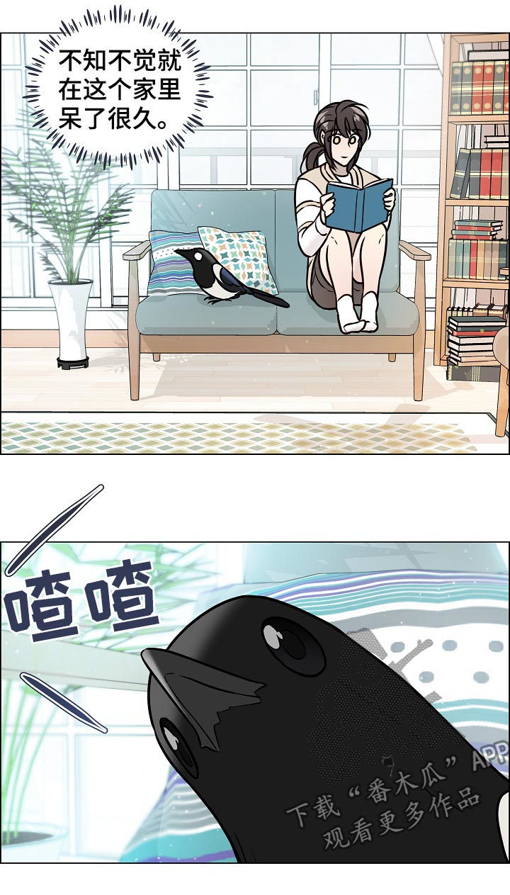 单身税漫画,第70章：离开2图