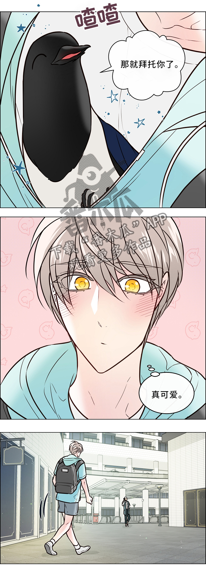 单身税漫画,第43章：喜鹊的秘密1图