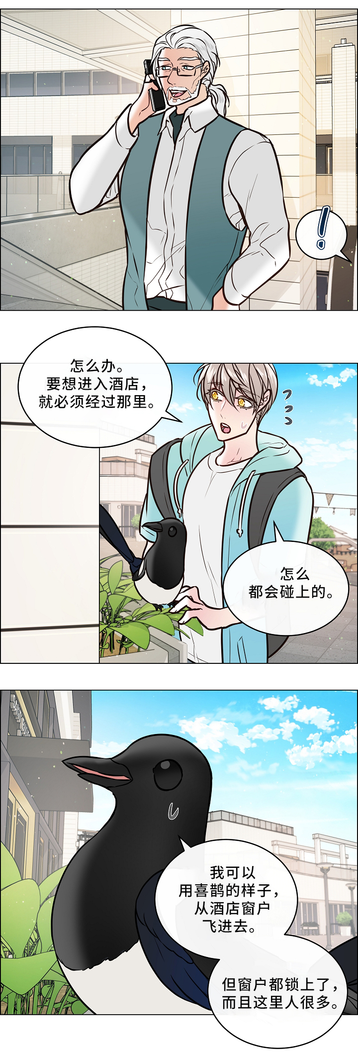 单身税漫画,第43章：喜鹊的秘密3图