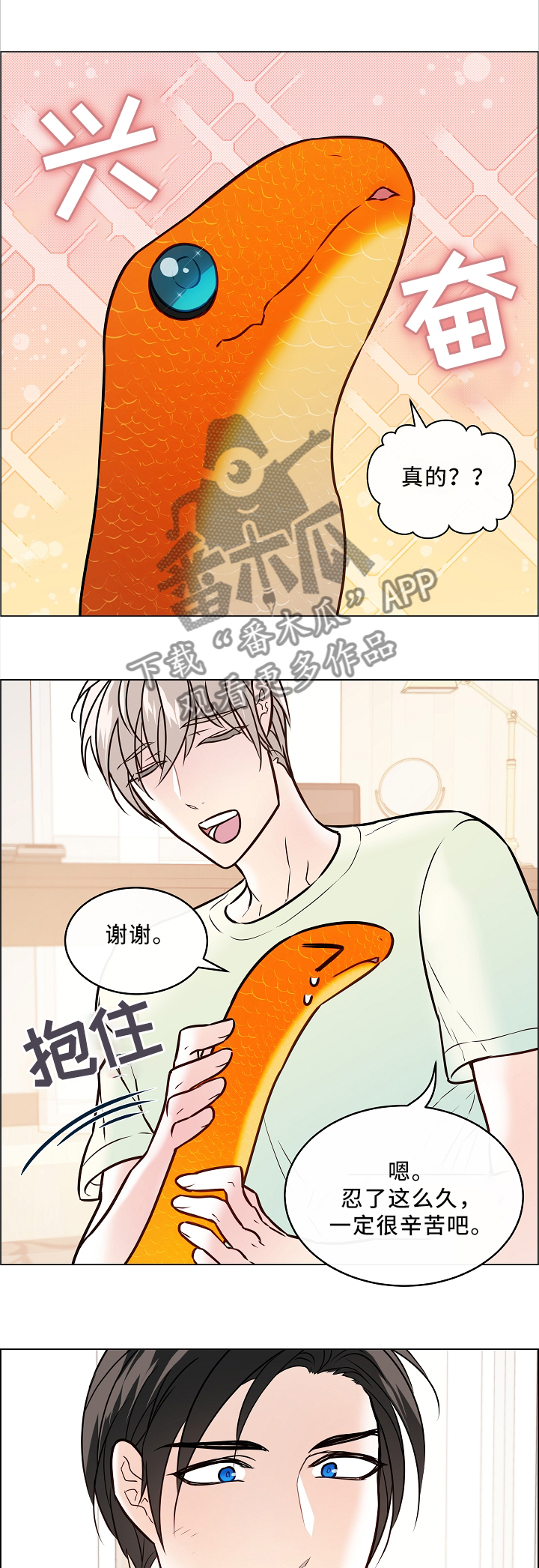单身税漫画,第46章：两只宠物1图