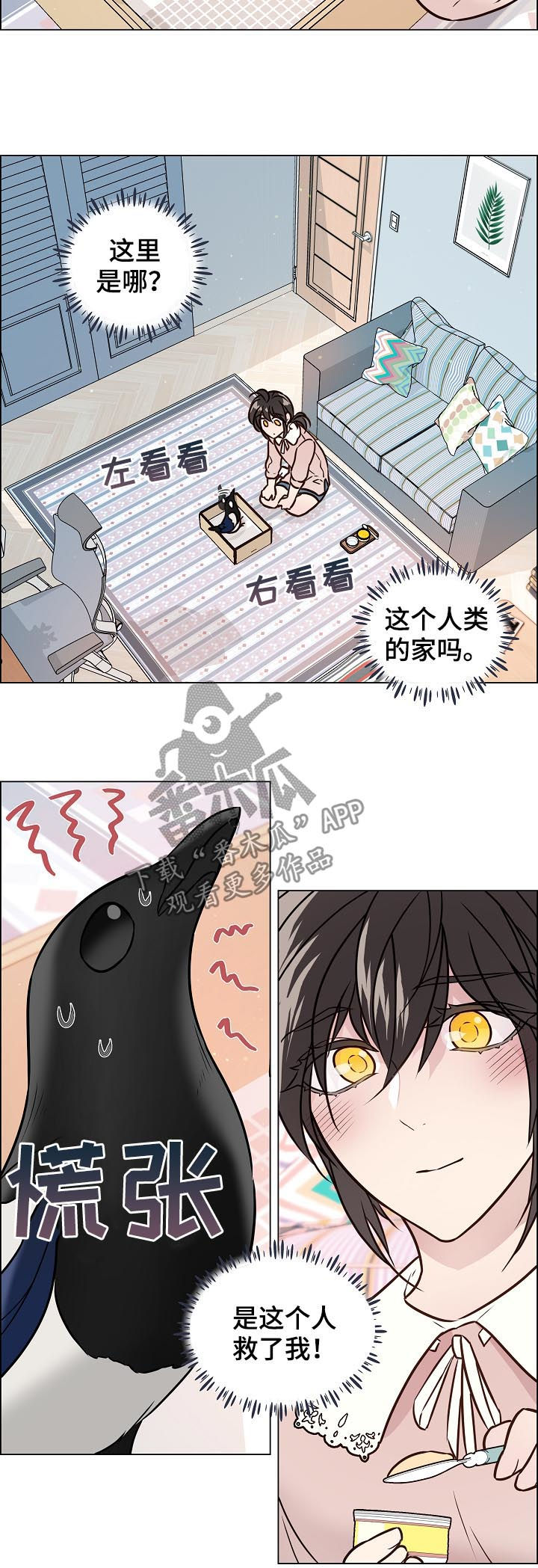 单身税漫画,第68章：照顾1图