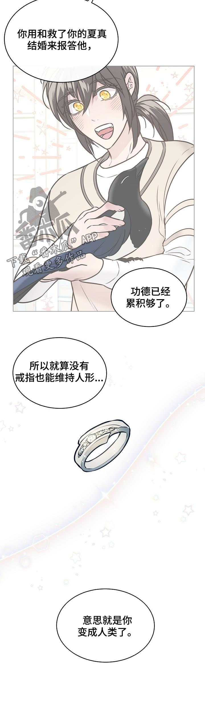 单身税漫画,第94章：结婚2图
