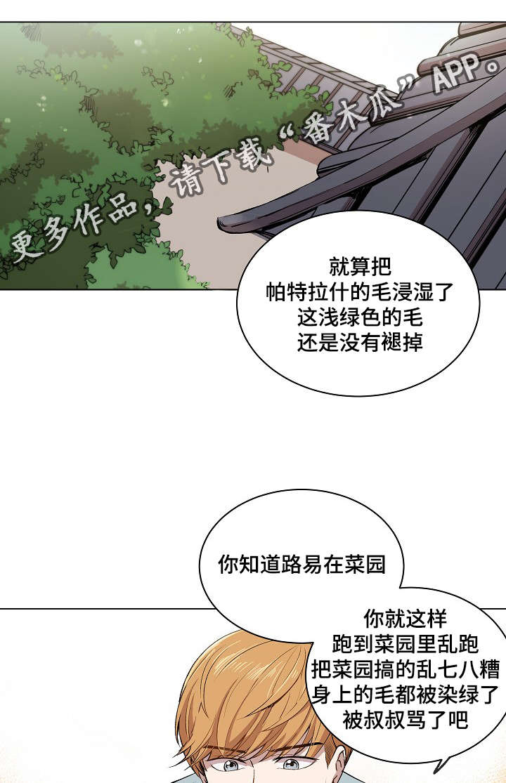 房主归来漫画,第13章：一起看雨景1图