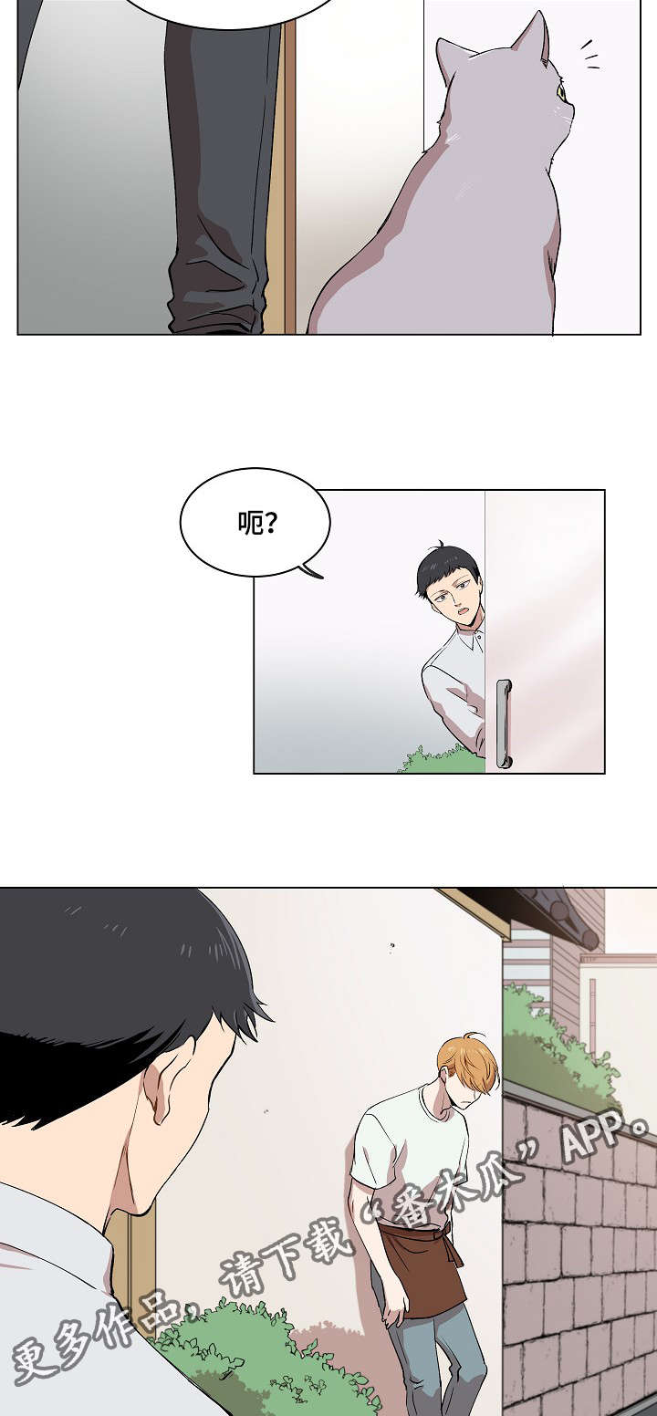 房主归来漫画,第14章：失踪案件5图
