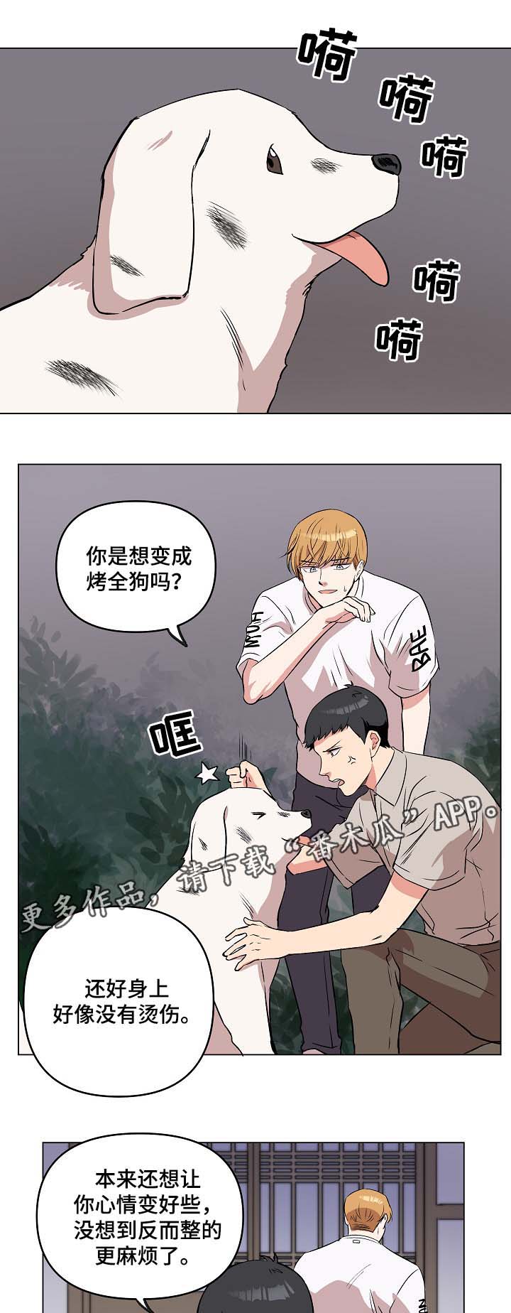 房主归来漫画,第44章：放烟花3图