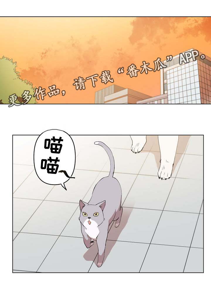 房主归来漫画,第32章：秀恩爱1图