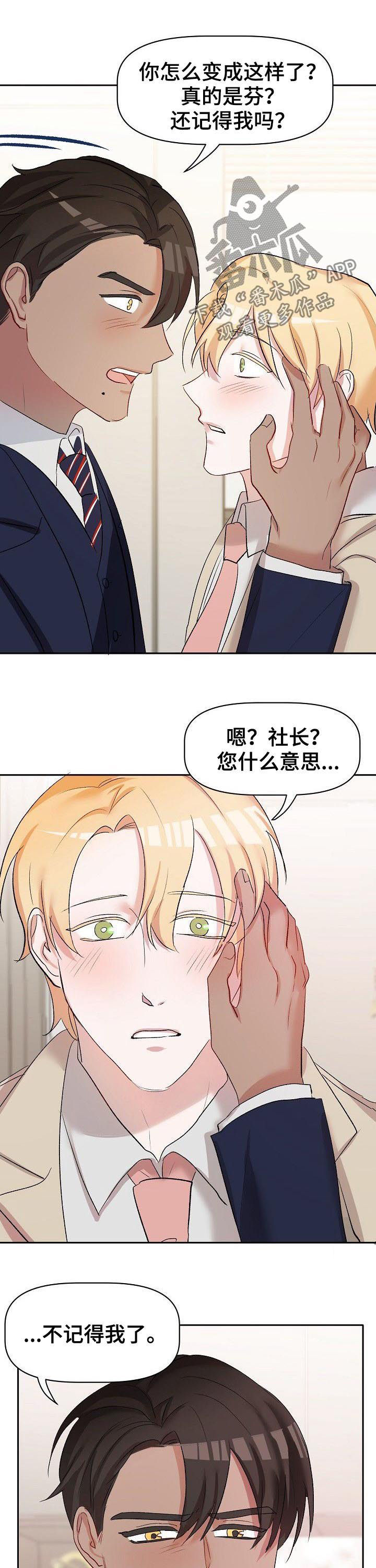 幸福使命漫画,第43章：四年后1图