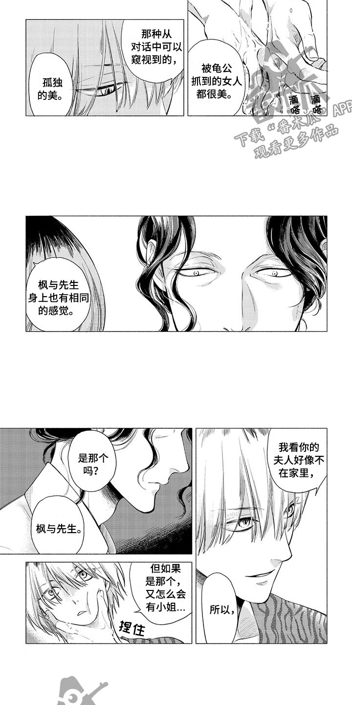 虎与猪是合还是冲漫画,第4章：专情5图