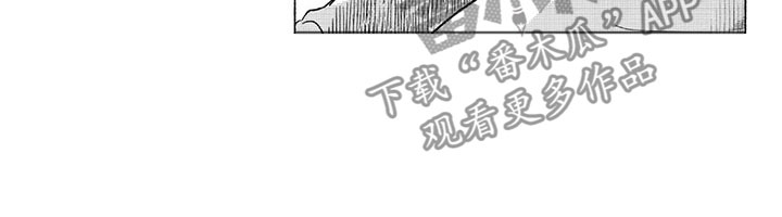 虎与虎结婚好不好漫画,第31章：议会1图