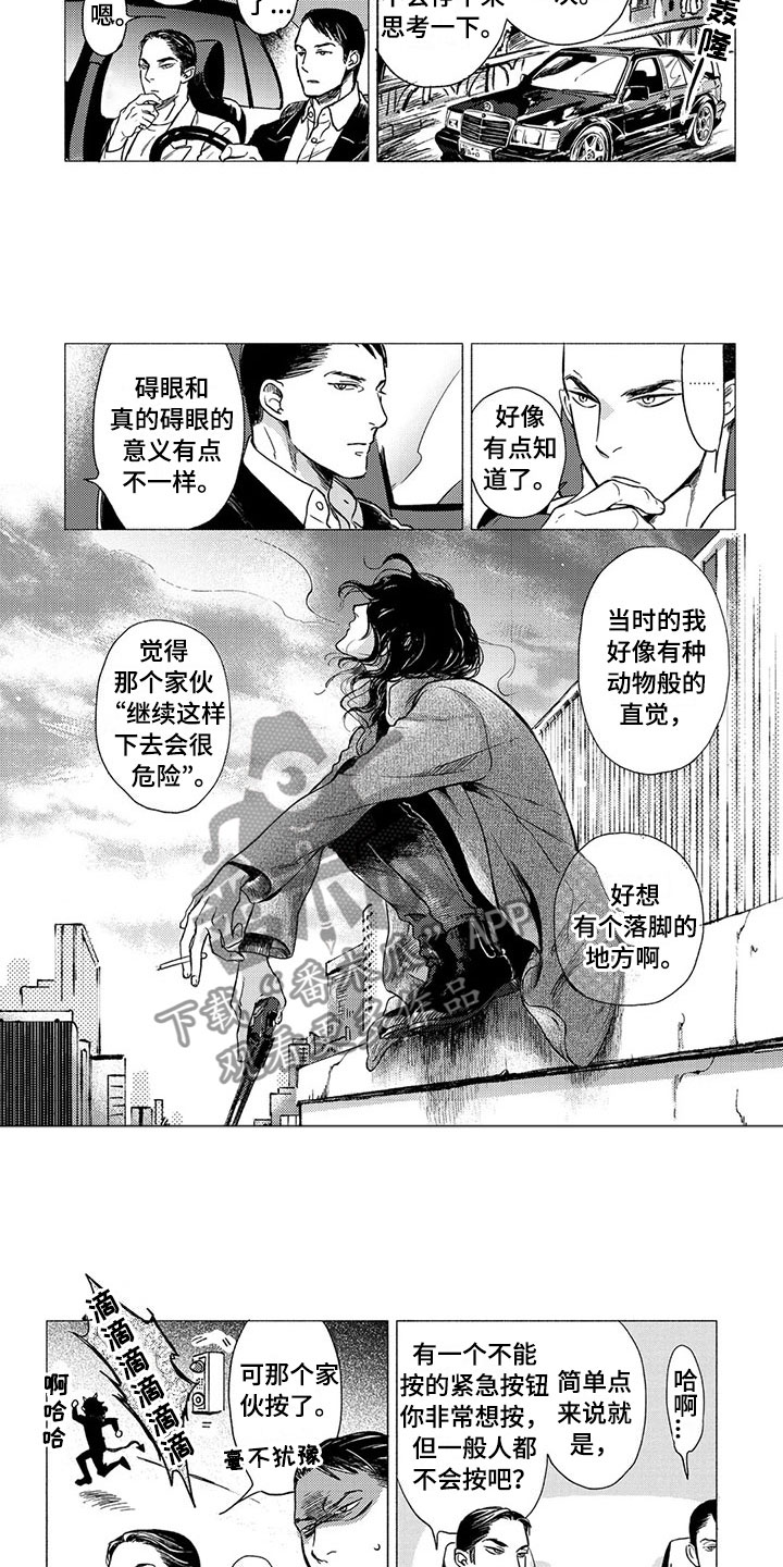 虎与蛇相配婚姻好吗漫画,第18章：坠落4图