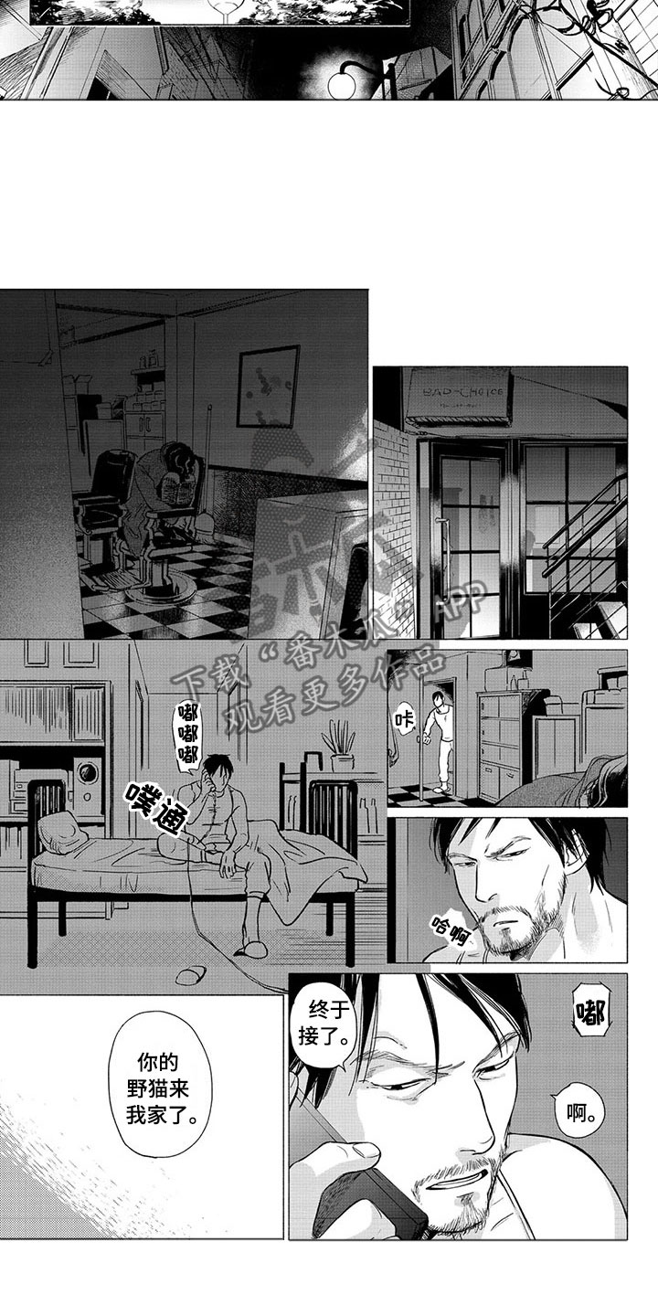 虎与卯兔漫画,第22章：善后3图