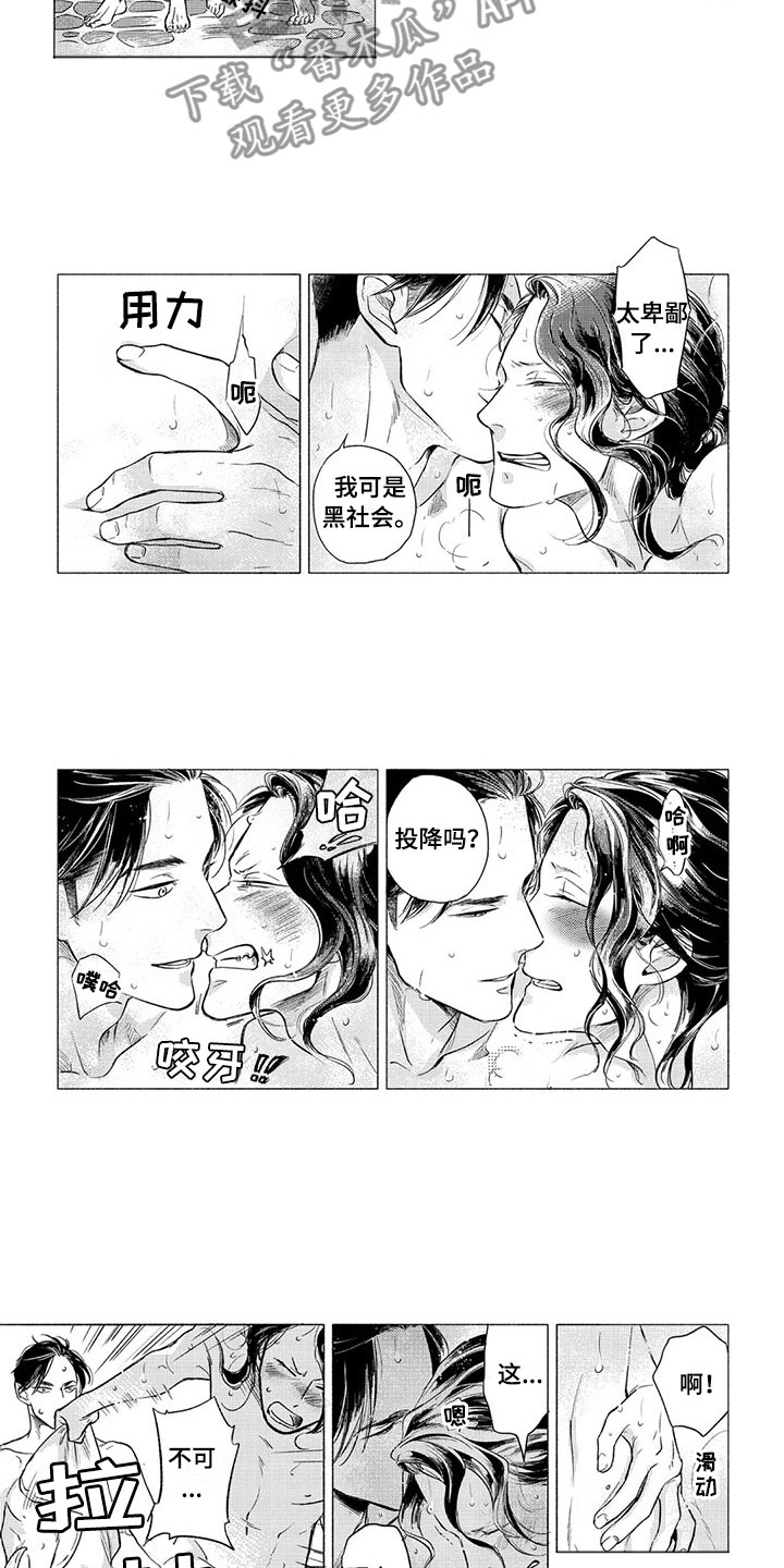 虎与兔漫画,第12章：斗气4图