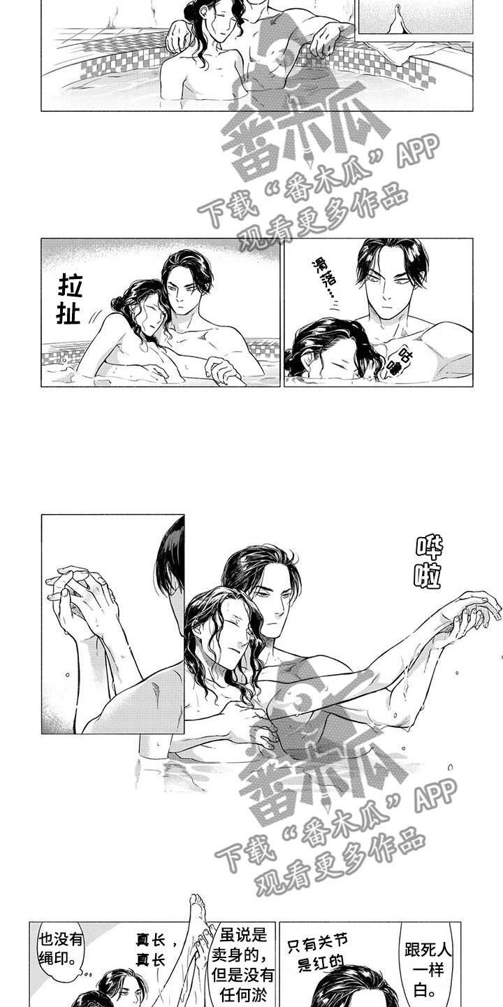 卯兔与虎属相合吗漫画,第21章：番外一2图