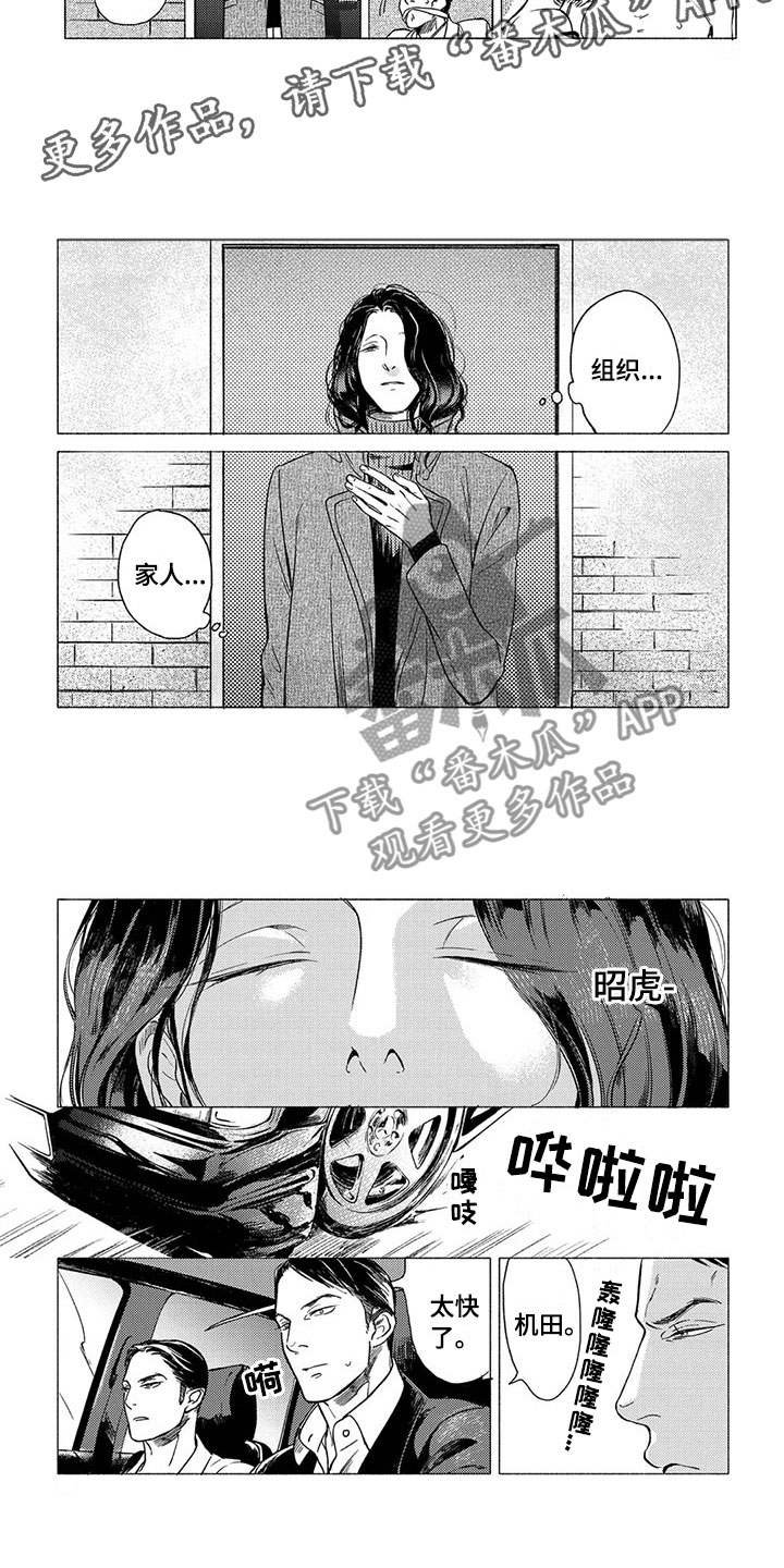 虎与蛇相配婚姻好吗漫画,第18章：坠落1图