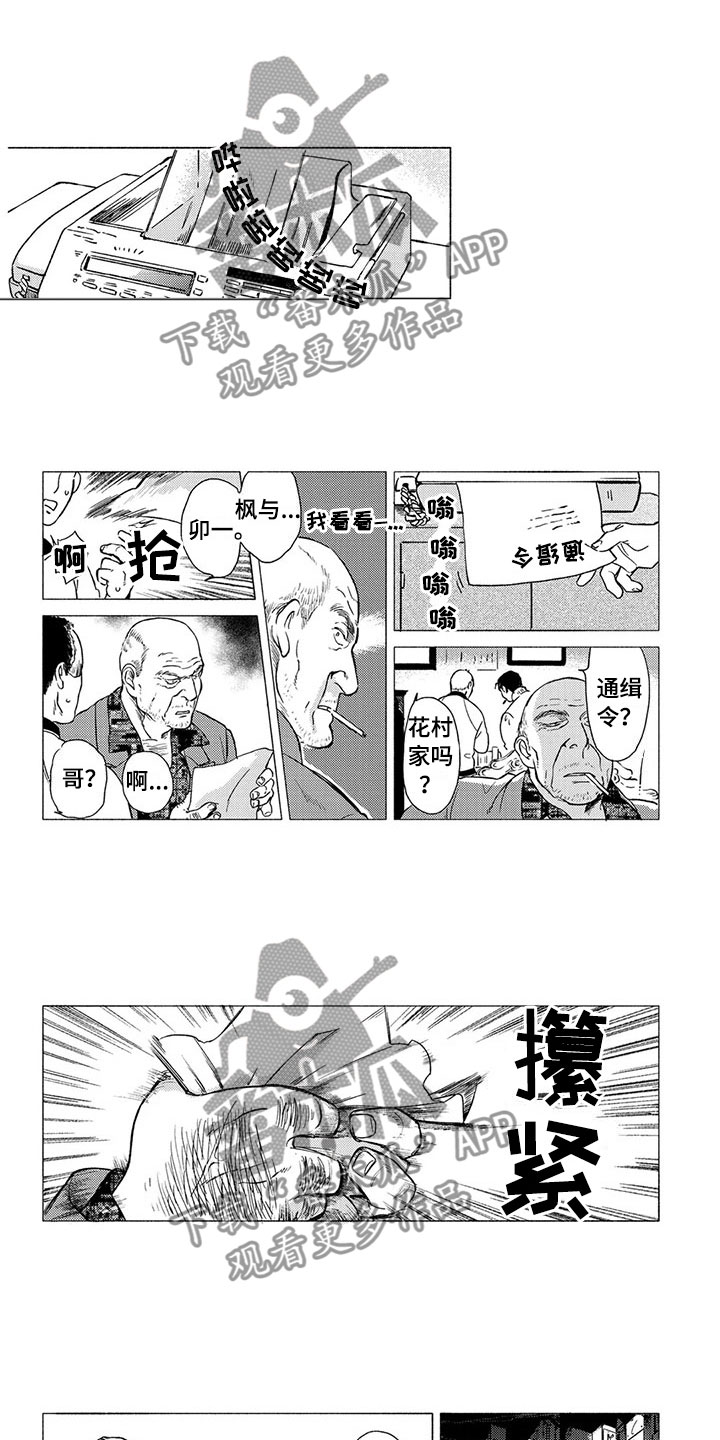 卯兔与虎属相合吗漫画,第19章：流亡1图