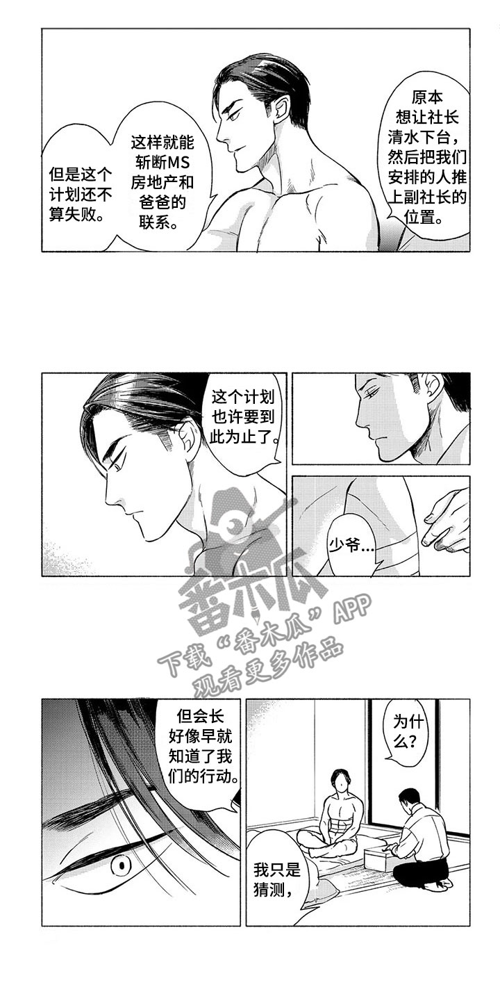 虎与蛇相配婚姻好吗漫画,第31章：议会3图