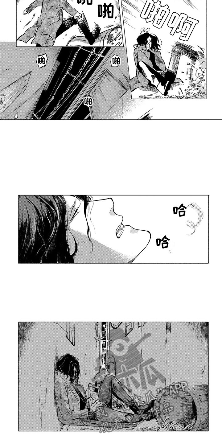 卯兔与虎属相合吗漫画,第19章：流亡1图