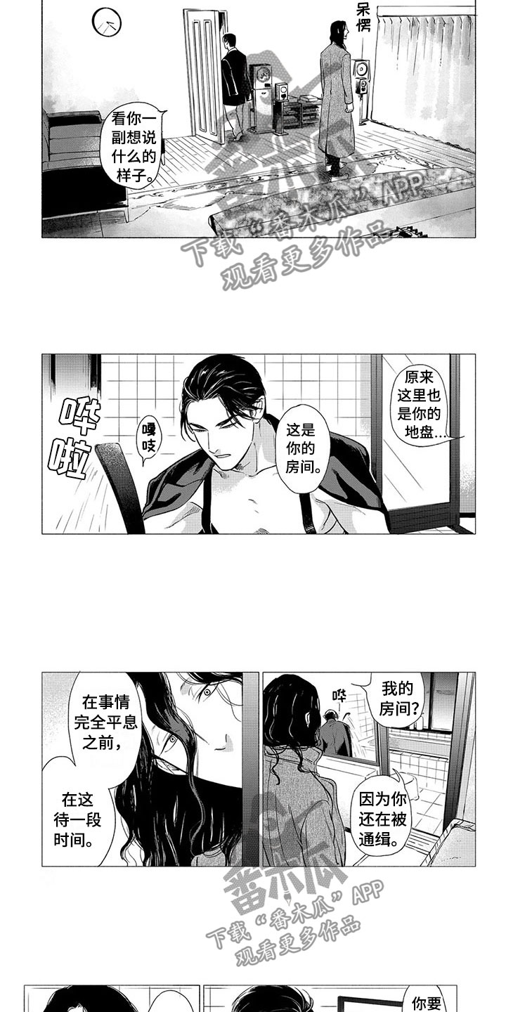 卯兔和虎配吗漫画,第23章：落脚地3图