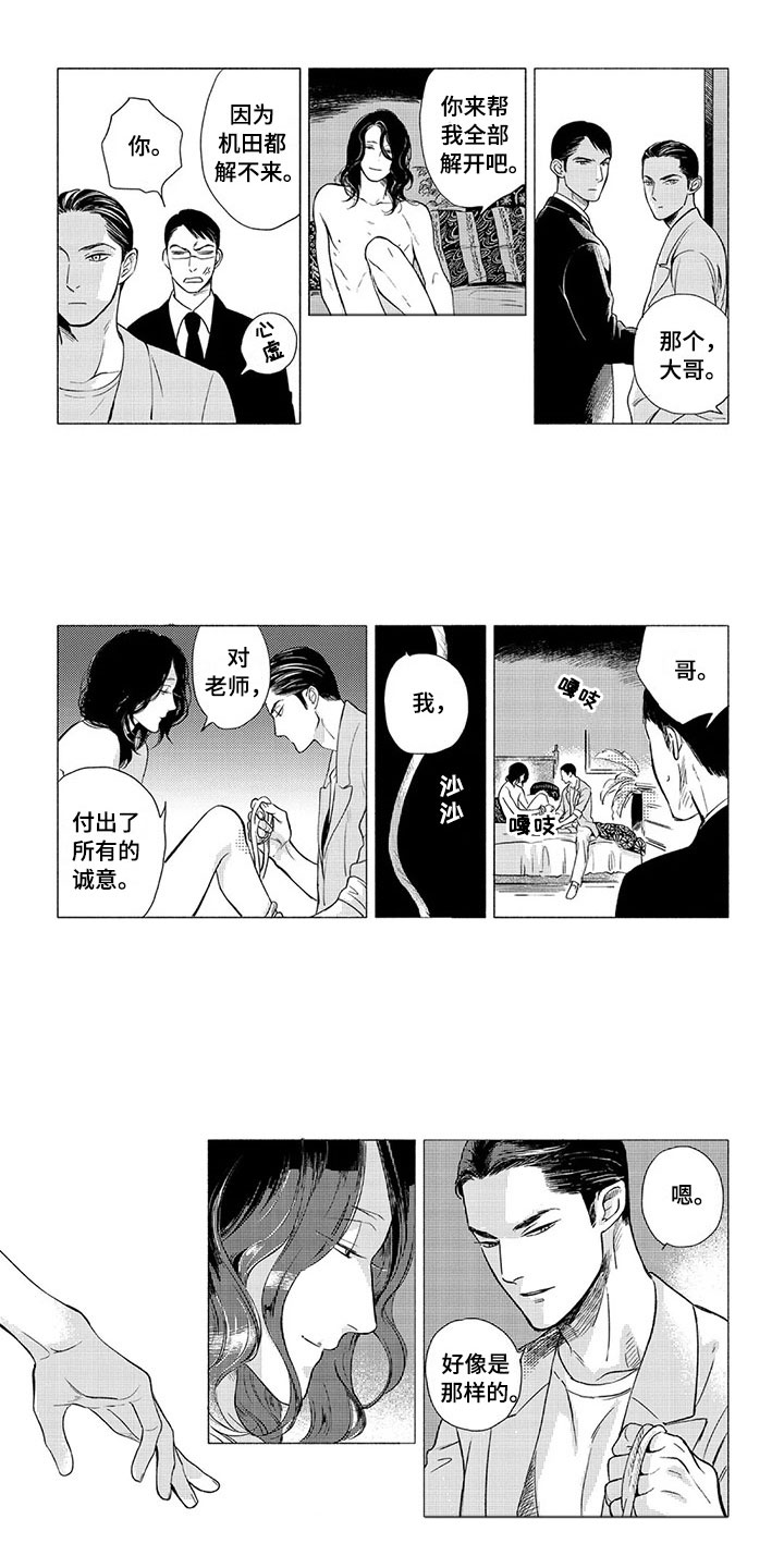 虎与狗属相合不合漫画,第3章：逻辑1图