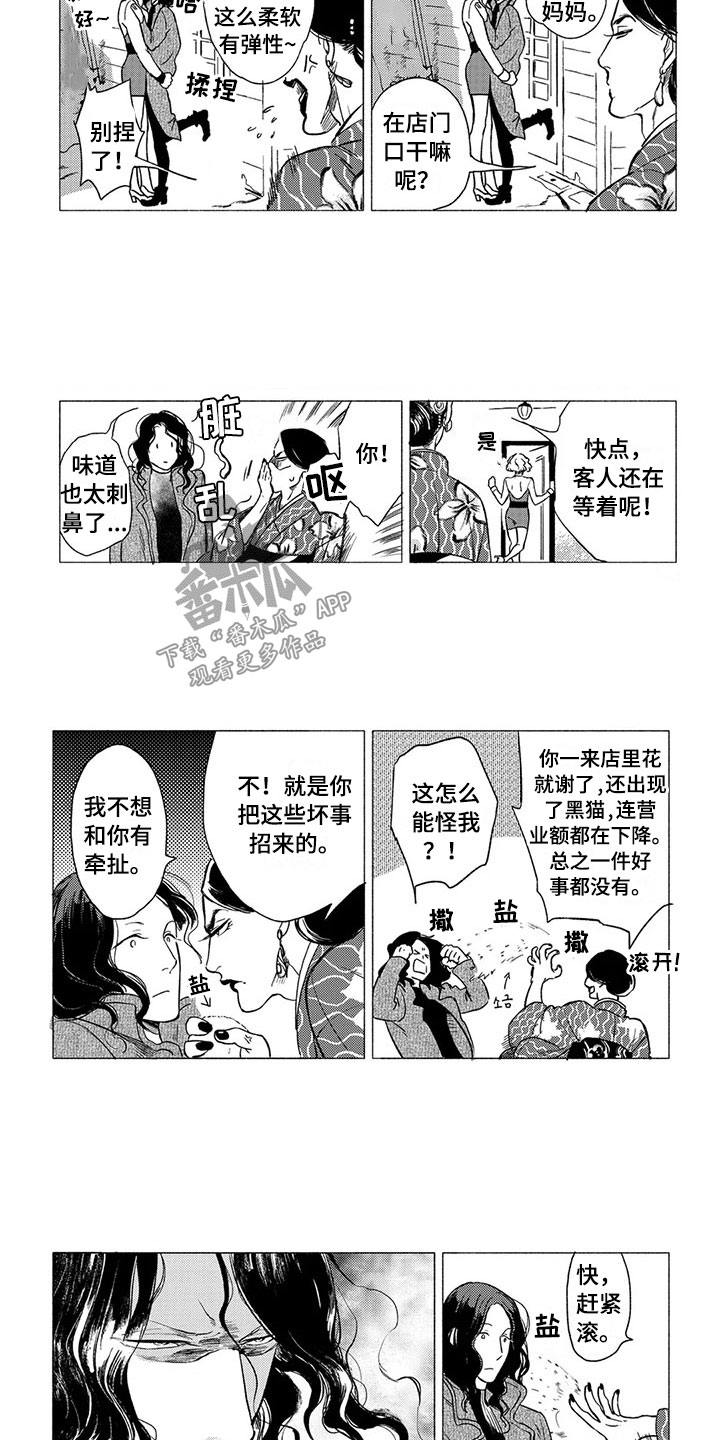 卯兔与虎属相合吗漫画,第19章：流亡3图