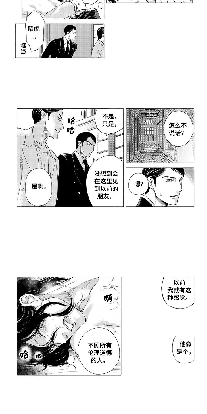 虎与狗属相合不合漫画,第3章：逻辑4图