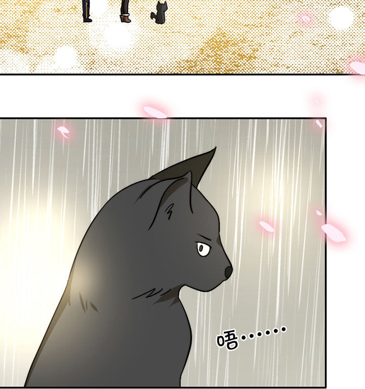 生个神明当男友漫画,第31章：谅解5图