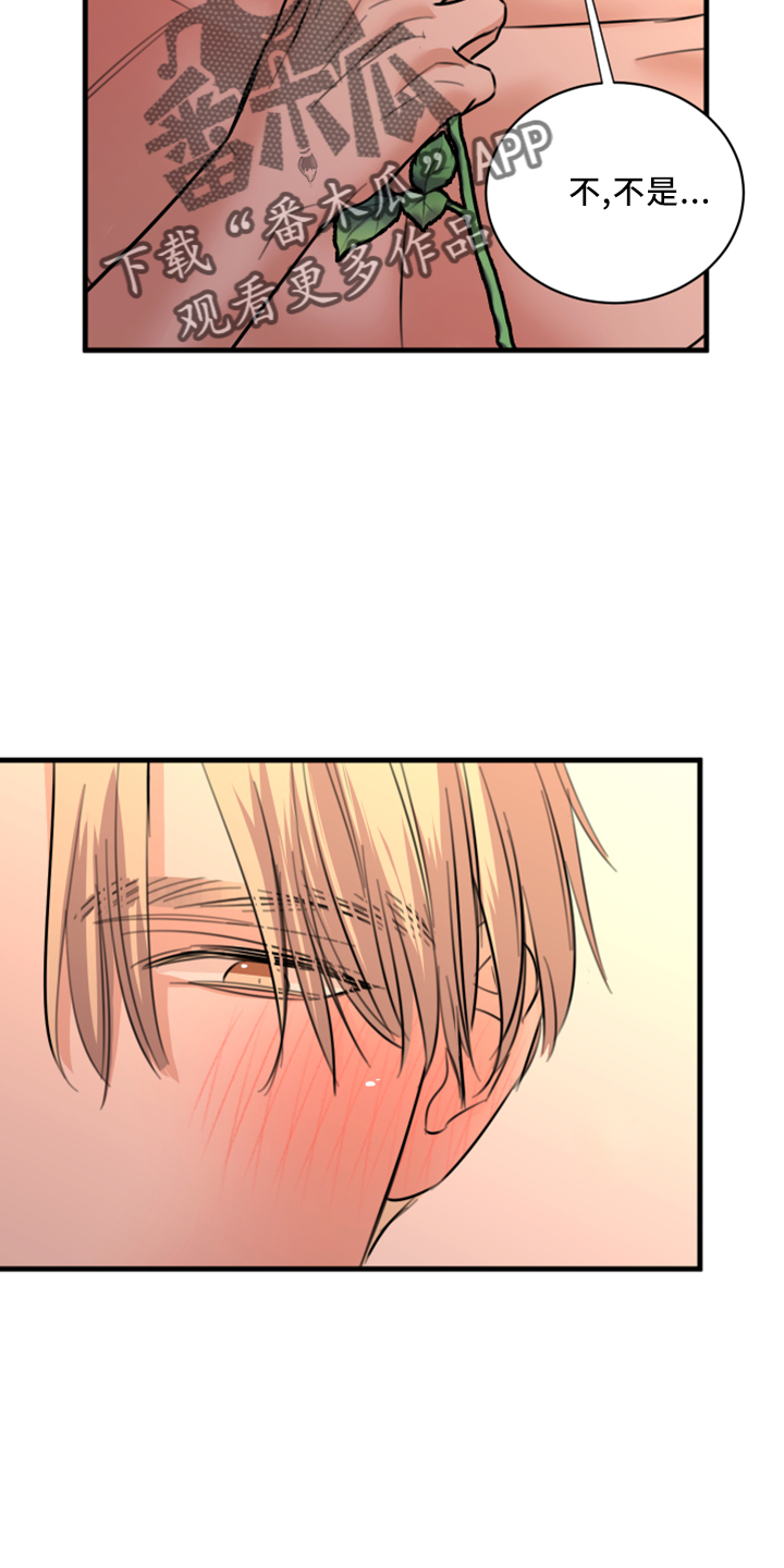 复仇恋情漫画,第57章：五年后4图