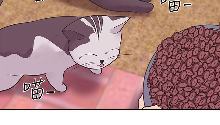 天界猎手漫画,第37章：兔3图